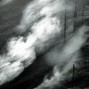 Bergamot - Black air