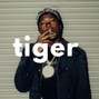 ZARE Beats - Skillibeng x Tyla Afro Dancehall Type Beat | "tiger"