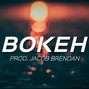 Jacob Brendan - Bokeh
