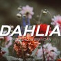Jacob Brendan - Dahlia