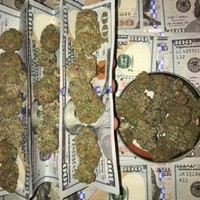 Don $oulo