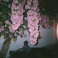 dukec__