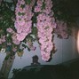 dukec__ - #51