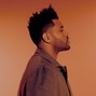 Mitch Grant - Daydreamer