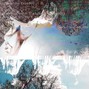 SkiinGraft - Night Dweller
