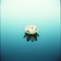 sanjayshah910930 - Inner Stillness