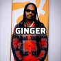 rockandbangit - GINGER - Naira Marley Type beat  Afrobeats Instrumental (Afrobeat Type Beat) Instrumental