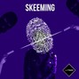 just Clayton - Skeeming