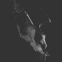 milesmajorbeats - active-137 bpm miles major wav