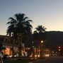 AL-X - Palm Springs Nights
