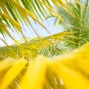 addivp00 - Hollywood Beach 