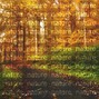 Jonaspatdr - Nature