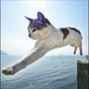 bandeja - Mew Mew