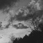 WhyNot - "Dreamer" Bones Type Beat
