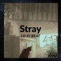 densleyn01 - Stray