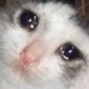 juen - sad n high
