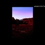 HXXDIEBOY - RED FOREST