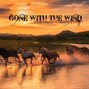 axiomaticinstrumentals - Gone with the Wind
