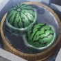 Jeune BI$AP - WATERMELON