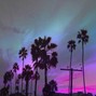 Lotus Fonda - After the party