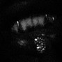 vVoider - ken carson type beat  - had to wait