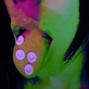 MI0 - lie to me - 134bpm G# Major (@MI0_meh)