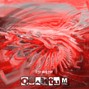 EGO_DEXTER - QUANTUM