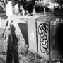 prodbroko - DAWN