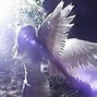 Sensei - ANGELS