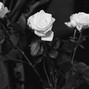 Bleak Beats - HOLD UP (PROD. BLEAK BEATS)