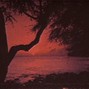 Bleak Beats - STRANGE (PROD. BLEAK BEATS)