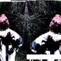 Dement - sheonhighs