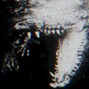 Chray - [FREE] - Hard Dark Trap beat - "Reptile"