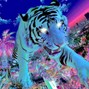 scornna - tiger | redda type beat