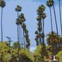 Ethan D. Polk - (FREE) 90's west coast type beat