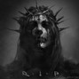 Diskus(MS) - ooes-emo/rap