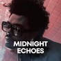 DRAS - ????MIDNIGHT ECHOES W/O HOOK???? | 1+4???? | The Weeknd Type Beat