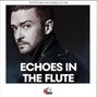 DRAS - 🔺ECHOES IN THE FLUTE W/ HOOK🔥 | 1+4🔥 | JT x Timbaland