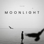Laurent47 - MOONLIGHT
