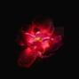 Dire - Blight