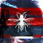 Hasty Vespa - CARNAGE [Free For Profit]