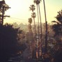 gosha - West Coast