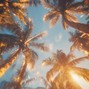Aztech - sunset