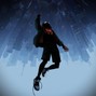 Sealen - SPIDER VERSE 