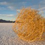 Benny Scorch - Tumbleweed