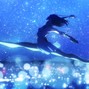 xenii - my story