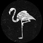 Ganache - Somniphobia
