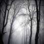Rafi B - Requiem