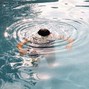 Sozé - UNDERWATER