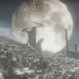 @ihteray - moon